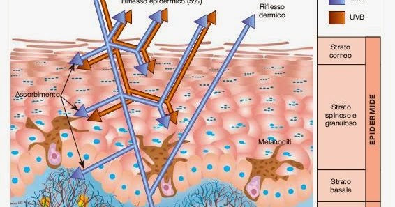 La decolorazione di pacchi di faccia e da posti di pigmentary